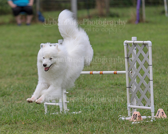 AGILITY-2811