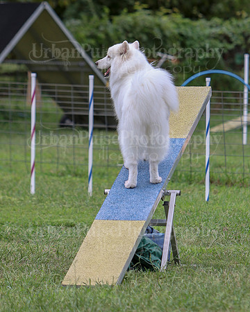 AGILITY-2810