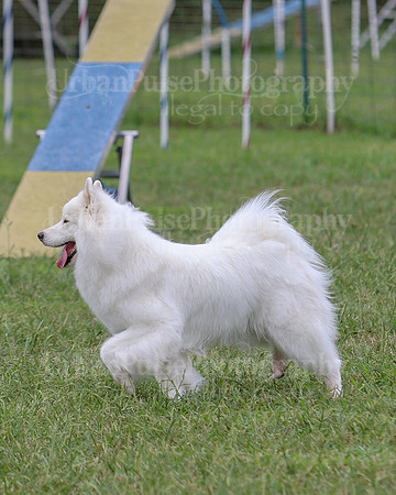 AGILITY-2814