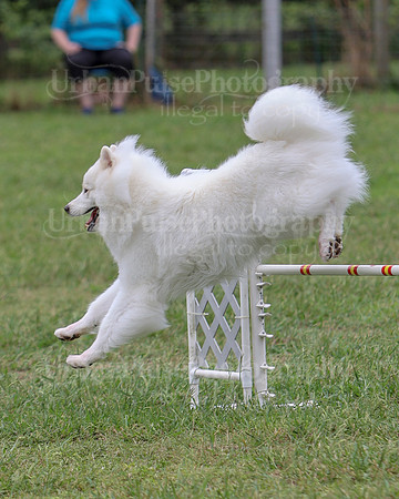 AGILITY-2815