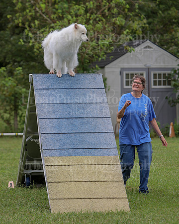 AGILITY-2816