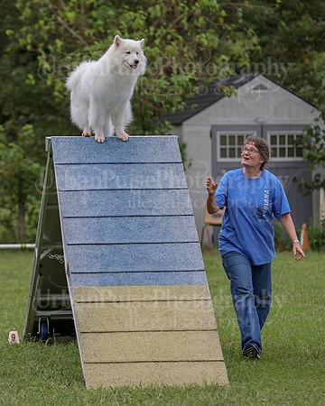 AGILITY-2817