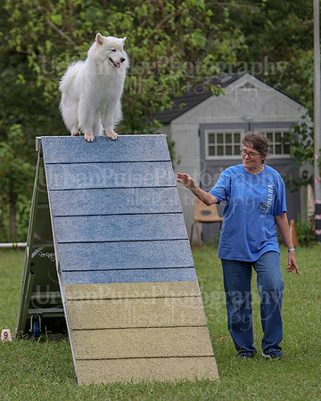 AGILITY-2818