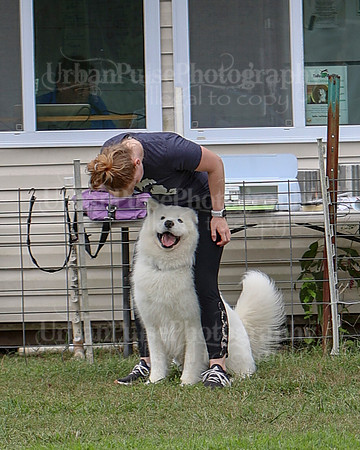 AGILITY-2821