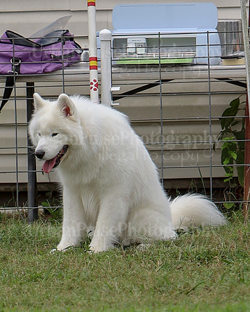 AGILITY-2823