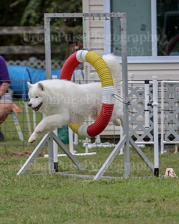 AGILITY-2824
