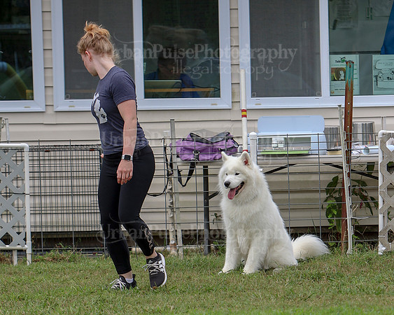 AGILITY-2822
