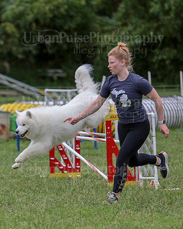AGILITY-2826