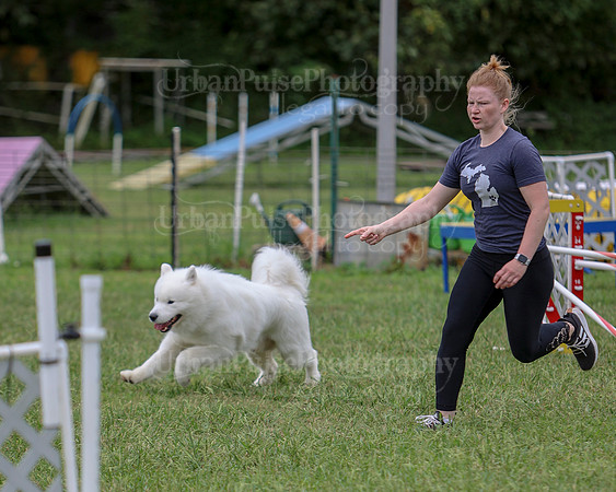 AGILITY-2827
