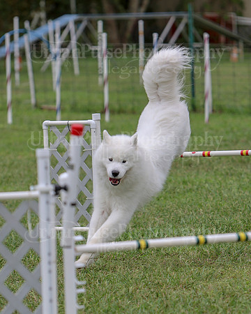 AGILITY-2828
