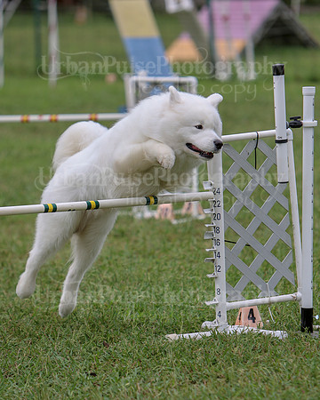 AGILITY-2829