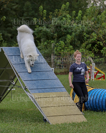 AGILITY-2833