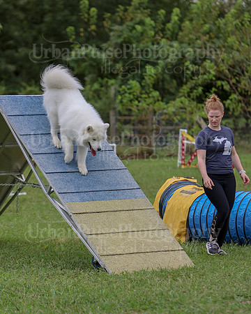 AGILITY-2834