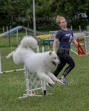 AGILITY-2839