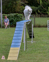 AGILITY-2841