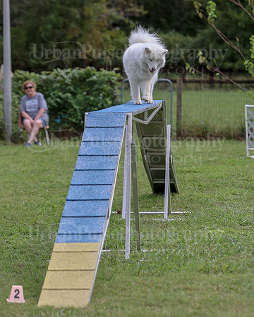 AGILITY-2841