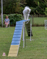 AGILITY-2842