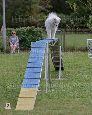 AGILITY-2842
