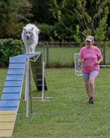 AGILITY-2844