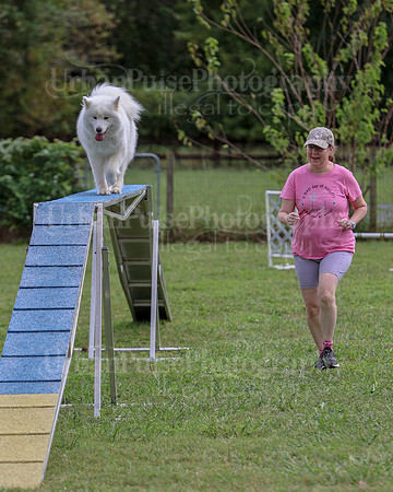 AGILITY-2844