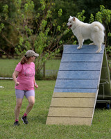 AGILITY-2846