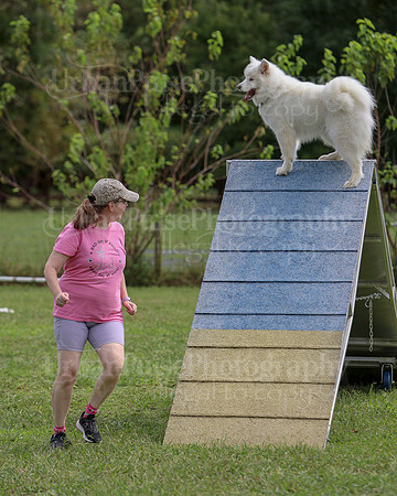 AGILITY-2846