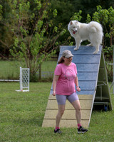 AGILITY-2847