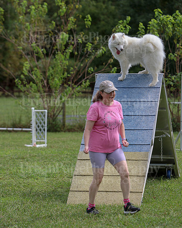 AGILITY-2847