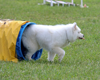 AGILITY-2848