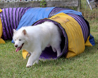 AGILITY-2851