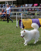 AGILITY-2852