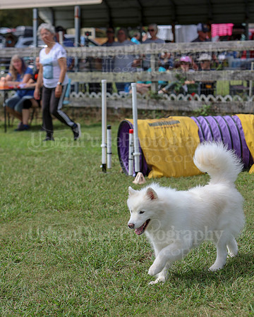 AGILITY-2852