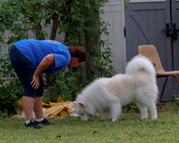 AGILITY-2853