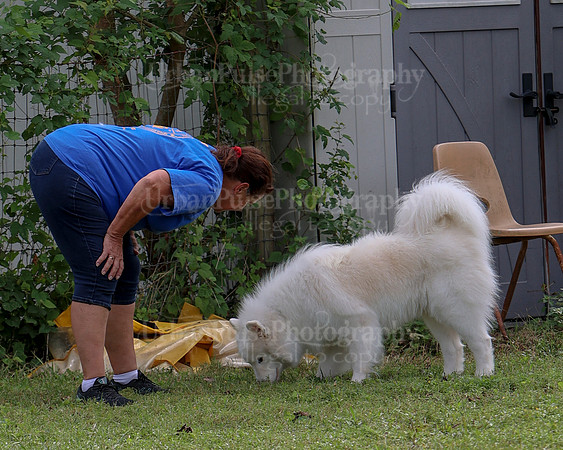 AGILITY-2853