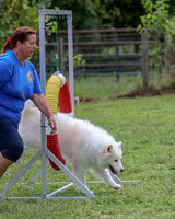 AGILITY-2854