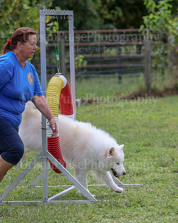 AGILITY-2854