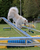 AGILITY-2856