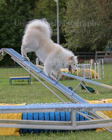 AGILITY-2856