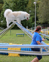 AGILITY-2855