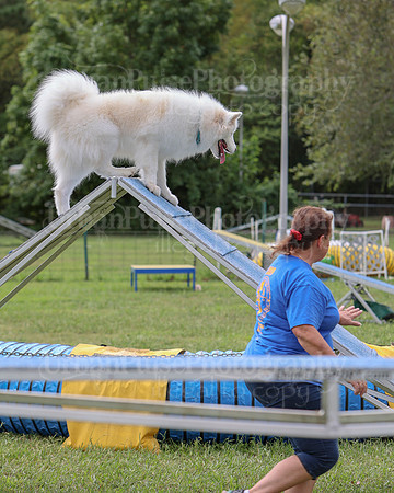 AGILITY-2855