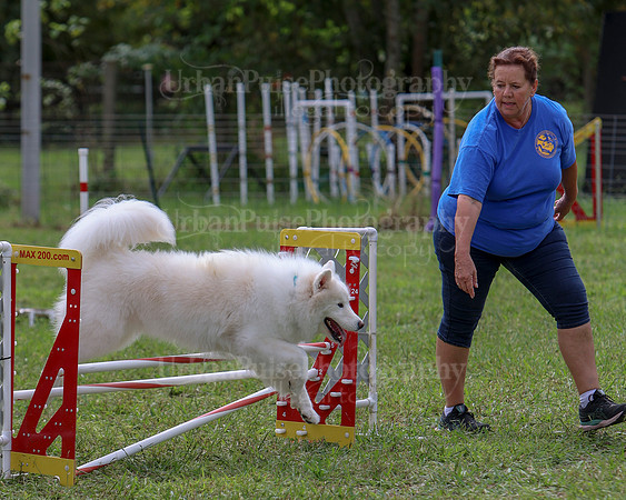 AGILITY-2859