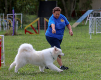 AGILITY-2860