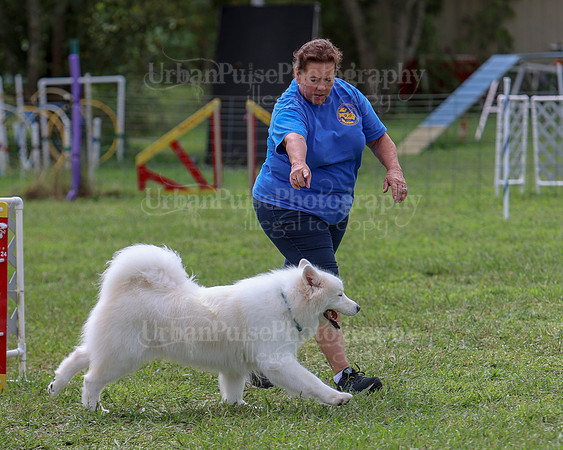 AGILITY-2860