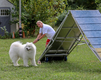 AGILITY-2862