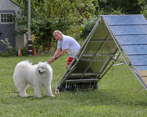 AGILITY-2862