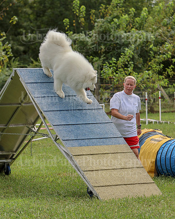 AGILITY-2863