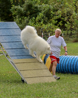 AGILITY-2864