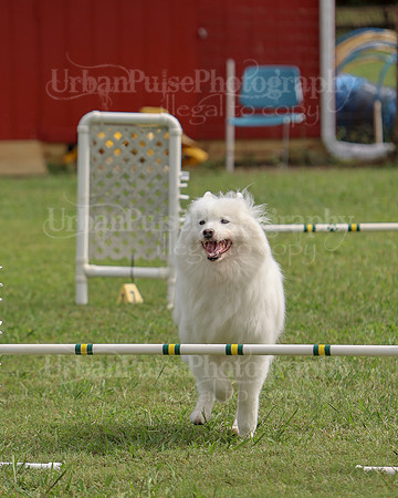 AGILITY-3072