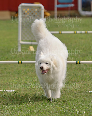 AGILITY-3073