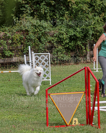AGILITY-3075